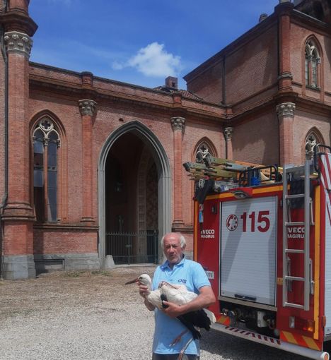 Rilascio di un giovane di cicogna all'Oasi di Racconigi Rilascio di un giovane di cicogna all'Oasi di Racconigi