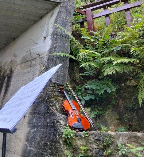 Ritorna il concerto nel bosco di Castellar: musica tra gli alberi a Tetto Martinet
