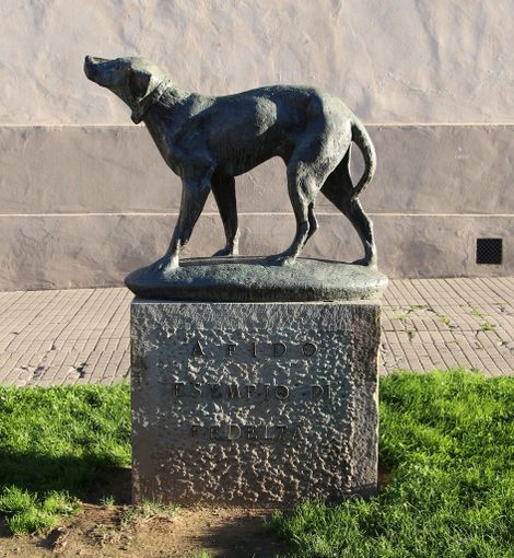 Il Monumento al Cane Fido