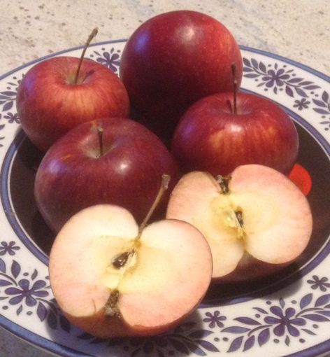 Vi presento la mela Gamba Fina o Gambafina, originaria di Caraglio