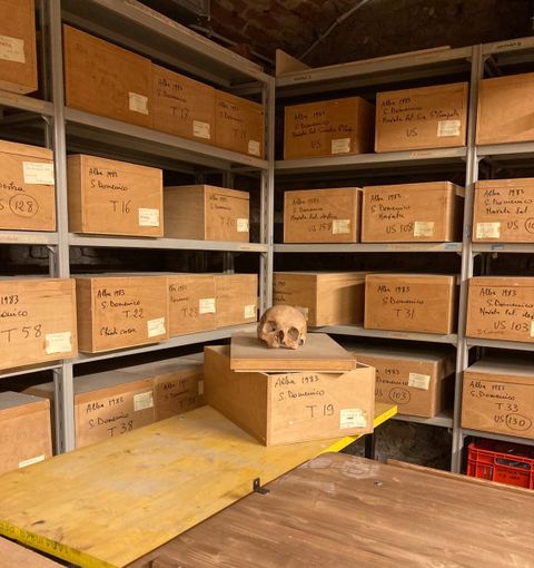 I depositi del Museo Eusebio di Alba