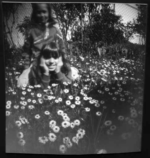 Alcune immagini scattate con la tecnica stenopeica