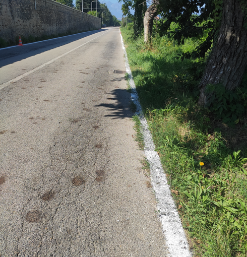Estate, Cuneo rifà il look alle strade con qualche "scivolone": in via Mistral vernice spruzzata sull'erba Estate, Cuneo rifà il look alle strade con qualche "scivolone": in via Mistral vernice spruzzata sull'erba