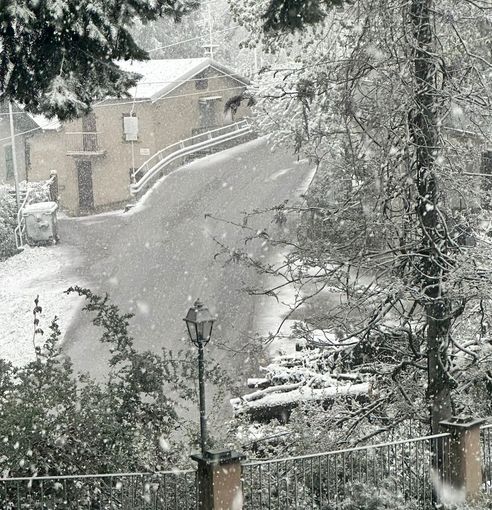La neve a San Giacomo di Roburent (Foto Paolo Manera)