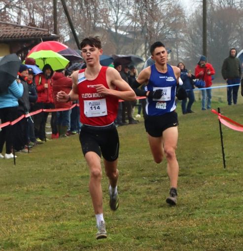 Giorgio Comino Giorgio Comino