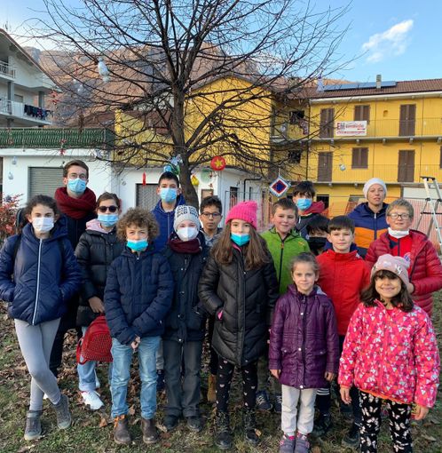 Rifreddo: mercoledì 8 dicembre alle 18 si accende il grande albero in piazza della Vittoria Rifreddo: mercoledì 8 dicembre alle 18 si accende il grande albero in piazza della Vittoria