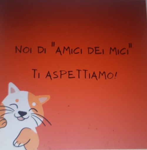 "Randall, Voci dalla strada": un palco attende giovani cantautori e scrittori