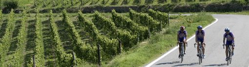 Ciclo-escursionismo nuova frontiera del turismo sulle colline di Langhe e Roero