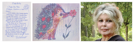 Il Centro Ricci "La Ninna" piange Brigitte Bardot: se ne va l'icona che aveva abbracciato la causa dei ricci