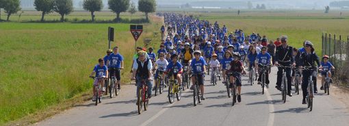 Una delle passate edizioni di Bicincittà