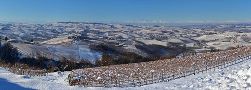 Veduta sulle Langhe imbiancate Veduta sulle Langhe imbiancate