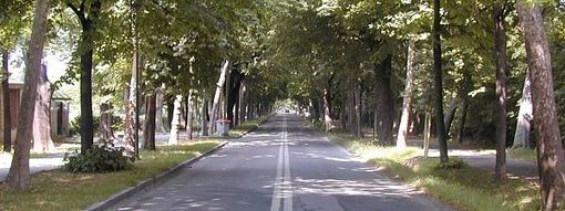 Paragonare il Viale Angeli a una mulattiera è un'assurdità Paragonare il Viale Angeli a una mulattiera è un'assurdità