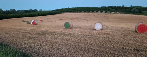 Giganti centrini all'uncinetto decorano le rotoballe a Farigliano per celebrare la mietitura del grano