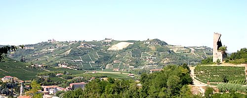 Santo Stefano Belbo, le ultime notizie dalla scuola primaria Santo Stefano Belbo, le ultime notizie dalla scuola primaria