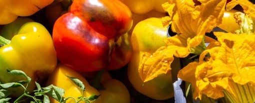 Immagine di repertorio