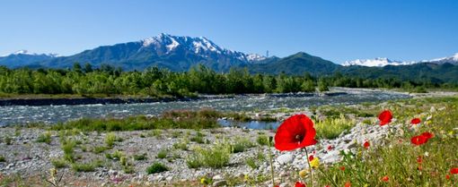 Immagine di repertorio