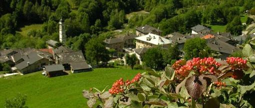 Furto di rame al cimitero di Prazzo Furto di rame al cimitero di Prazzo