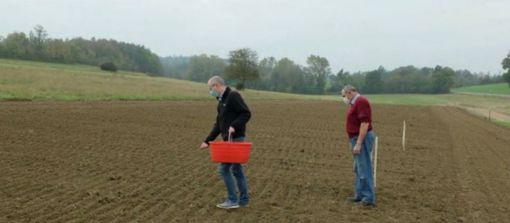 A Niella Tanaro prosegue il progetto dedicato alla valorizzazione dei grani antichi