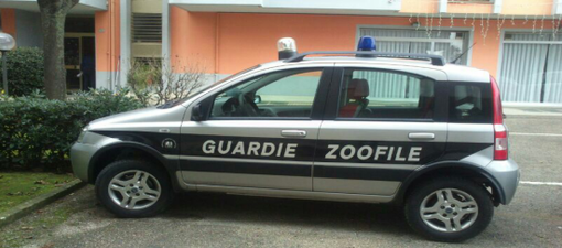 "Blitz e sanzioni, le Guardie Zoofile non sono questo": la L.I.D.A. Cuneo fa chiarezza sul concetto di "protezione animali""