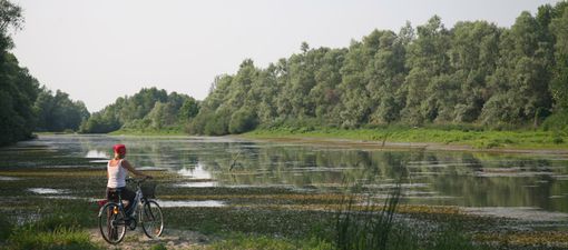 Immagine di repertorio