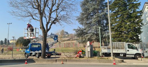 Alba, modifiche alla viabilità per lavori di manutenzione del verde