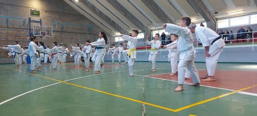 Stage di karate a Moretta nella palestra delle scuole medie