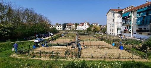 Gli orti urbani in viale Cherasca