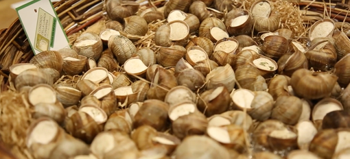 Borgo San Dalmazzo non rinucia alla sua manifestazione, parte domani “Aspettando la 452^ edizione della Fiera Fredda"