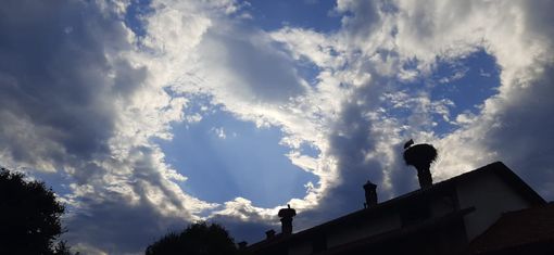 Racconigi, al Centro Cicogne non sarà necessario il Green Pass