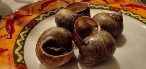 Borgo San Dalmazzo: in attesa della Fiera Fredda la chiocciola incontra il porro, il bue e il cappone Borgo San Dalmazzo: in attesa della Fiera Fredda la chiocciola incontra il porro, il bue e il cappone