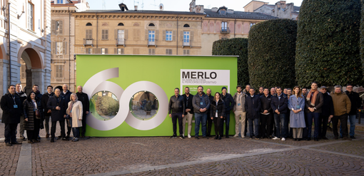I rappresentanti internazionali Merlo dalla Nuova Zelanda al Canada