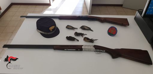 Saluzzo, nei guai cacciatore bresciano pizzicato dai Forestali a cacciare esemplari protetti