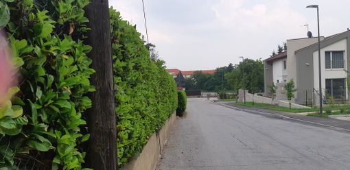 La futura via Rita Levi Montalcini