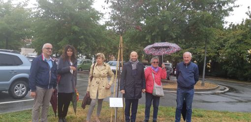 La piantumazione dell'albero dedicato ad Amalia Isasca