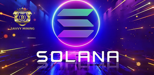 Whales spend $40.4 million to buy SOL at the bottom! With SAVVY MINING, they can leverage funds and earn $38,600 a day