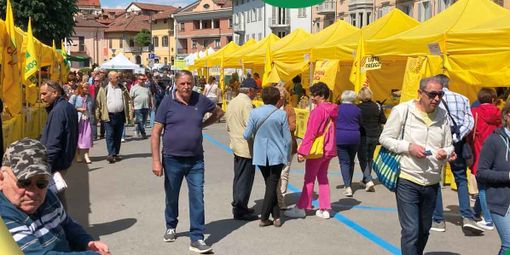 Quintessenza: a Savigliano un concentrato di bontà a km 0 con Agrimercato Campagna Amica Cuneo