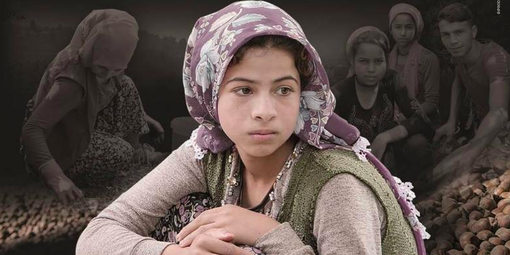 Coldiretti Cuneo: “Né tonda né gentile”, il docufilm che svela la verità sulle nocciole turche Coldiretti Cuneo: “Né tonda né gentile”, il docufilm che svela la verità sulle nocciole turche