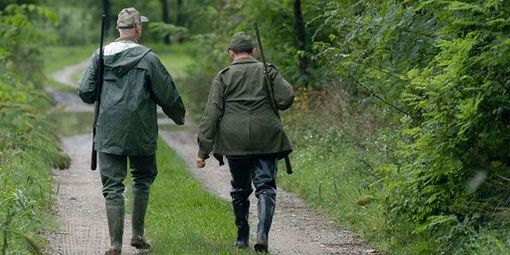 Garessio, cacciatore centrato al volto da un colpo esploso da un collega Garessio, cacciatore centrato al volto da un colpo esploso da un collega
