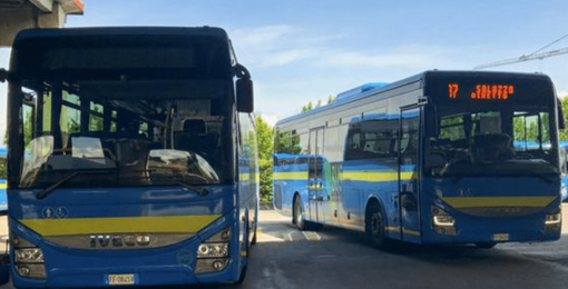 Ritorna la navetta di Bus Company per le Cupole Lido