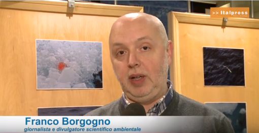 Inaugurazione della mostra “Innesti artici” organizzata dal Consiglio regionale del Piemonte Inaugurazione della mostra “Innesti artici” organizzata dal Consiglio regionale del Piemonte