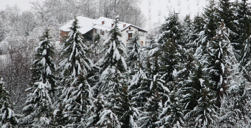 Una foto della nevicata a Mondovì