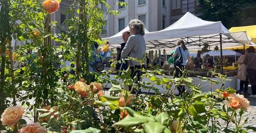 L'evento si è sovlto in piazza San Paolo, sabato 24 e domenica 25 maggio L'evento si è sovlto in piazza San Paolo, sabato 24 e domenica 25 maggio
