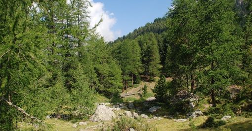 Il Parco del Monviso si avvicina ai residenti con uno sportello forestale