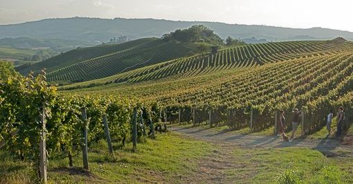 Dall'8 al 10 giugno, il "Barolo fashion show" diventa Festival