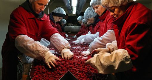 Donne di pace: a Fossano incontro con la cooperativa "Insieme" Donne di pace: a Fossano incontro con la cooperativa "Insieme"