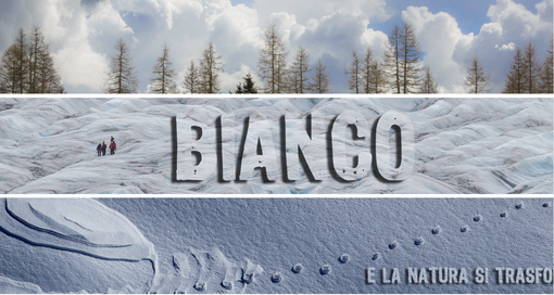 La biblioteca di Farigliano ospita la mostra "BIANCO e la natura si trasforma" di Laura Sartor e Massimo Samaritani