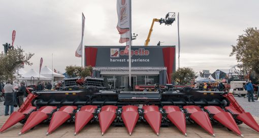 Le strade per aumentare la produttività del mais