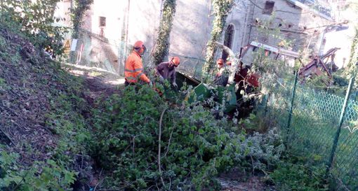 Frabosa Soprana: sistemata dalla squadra Valli Monregalesi della Regione la pineta di San Carlo