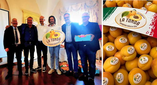 Celebrando l’Albicocca Tonda di Costigliole e i suoi produttori Celebrando l’Albicocca Tonda di Costigliole e i suoi produttori