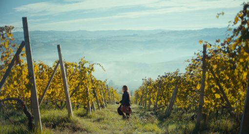 Nelle foto alcuni scatti dall'opera e i suoi interpreti Nelle foto alcuni scatti dall'opera e i suoi interpreti